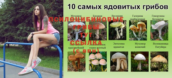 MDMA Premium VHQ Кулебаки